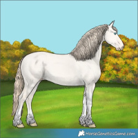 Horse Color:Perlino Dun Tobiano 