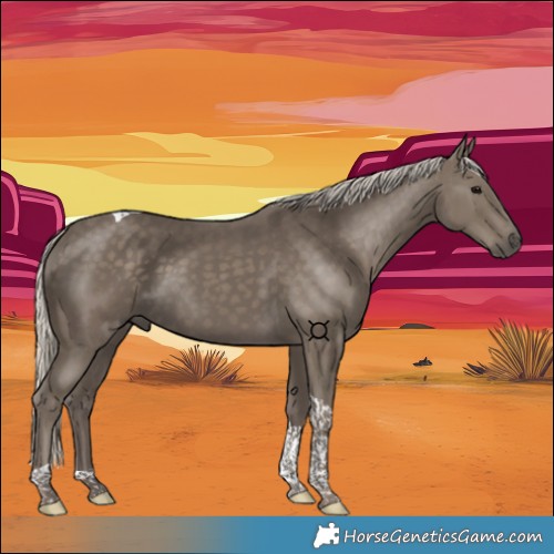 Horse Color:Silver Smoky Black Tobiano 