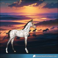 Horse Color:Brown Roan Dun Appaloosa 