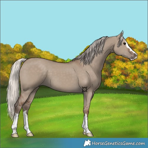 Horse Color:Silver Grullo