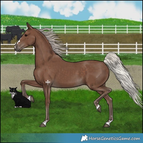 Horse Color:Silver Black 