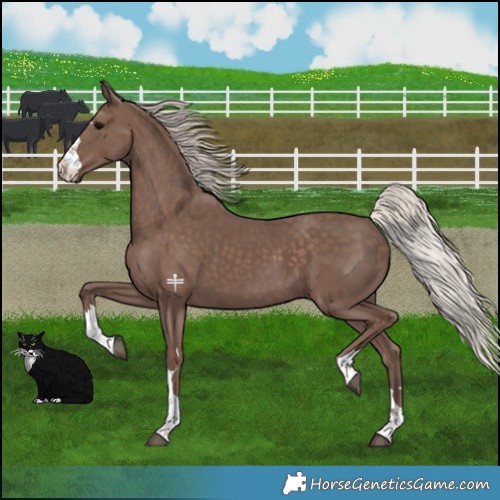 Horse Color:Silver Black 