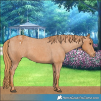 Horse Color:Chestnut Varnish 
