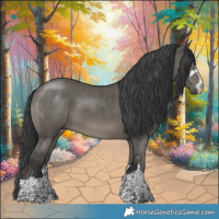 Horse Color:Grullo Brindle 