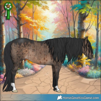 Horse Color:Brown Dun Rabicano Brindle