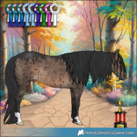 Horse Color:Brown Dun Rabicano Brindle