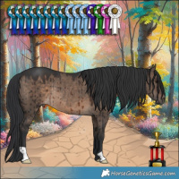 Horse Color:Brown Dun Rabicano Brindle