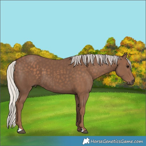 Horse Color:Silver Black 