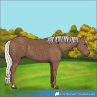 Horse Color:Silver Black