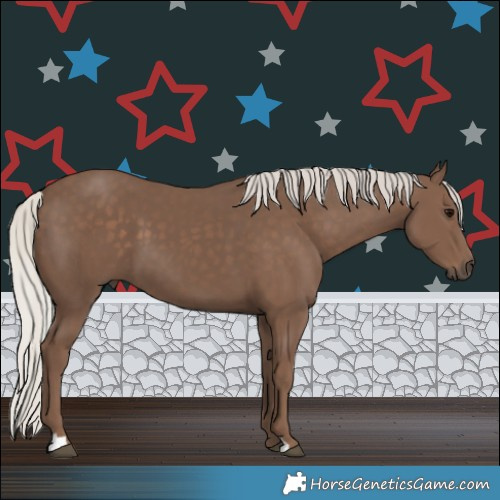 Horse Color:Silver Black 