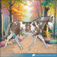 Horse Color:White Spotted Silver Brown Dun Splash 