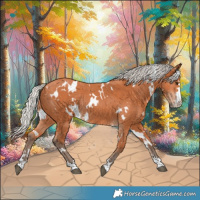 Horse Color:White Spotted Silver Bay Rabicano 