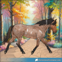 Horse Color:White Spotted Bay Roan