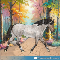 Horse Color:White Spotted Brown Roan Dun 