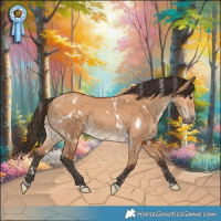 Horse Color:White Spotted Bay Dun 