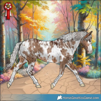 Horse Color:Powder White White Spotted Silver Bay Dun Brindle