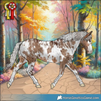 Horse Color:Powder White White Spotted Silver Bay Dun Brindle