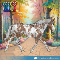 Horse Color:Powder White White Spotted Silver Bay Dun Brindle 