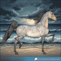 Horse Color:Buckskin Roan Merle 