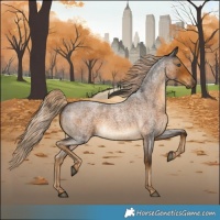 Horse Color:Chocolate Palomino Roan