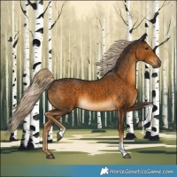 Horse Color:Chocolate Palomino Tobiano 