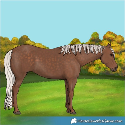 Horse Color:Silver Black 