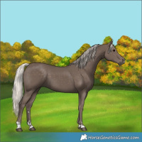 Horse Color:Silver Black 