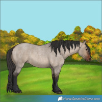 Horse Color:Brown Roan Dun 
