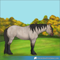 Horse Color:Brown Roan Dun 