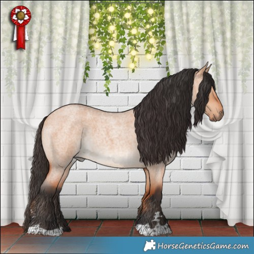 Horse Color:Bay Roan Dun Rabicano 