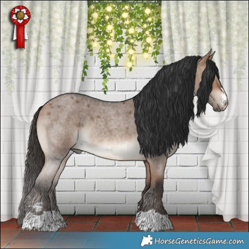 Horse Color:Bay Roan Dun Rabicano 