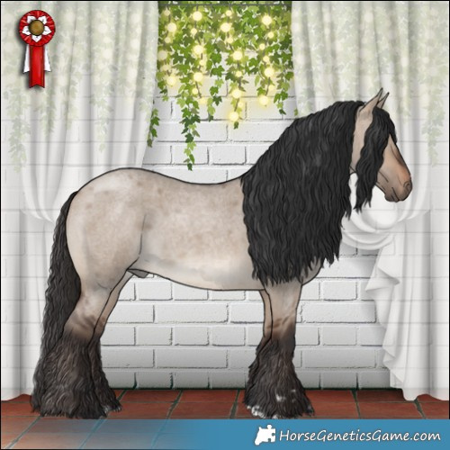 Horse Color:Brown Roan Dun Rabicano 