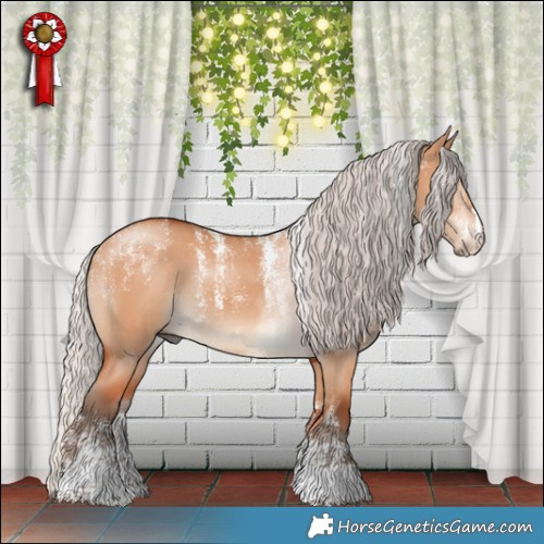 Horse Color:Powder White Silver Bay Dun Rabicano 
