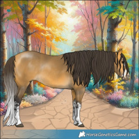 Horse Color:Buckskin Splash Rabicano 