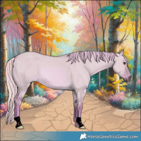 Horse Color:Void Watercolor Red Dun 