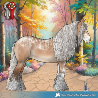 Horse Color:Powder White Silver Bay Dun 