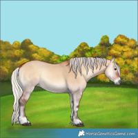 Horse Color:Silver Bay Onyx