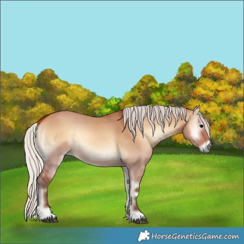 Horse Color:Silver Bay Onyx 