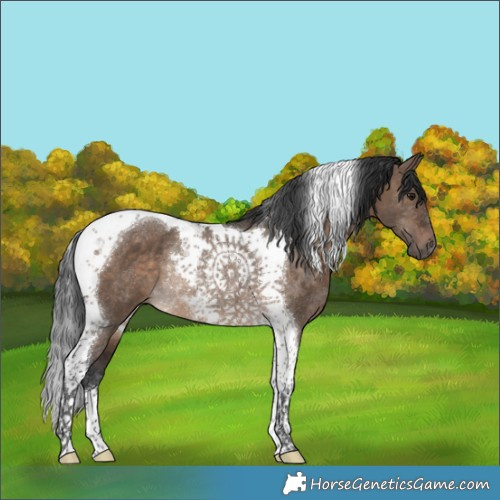 Horse Color:Brown Dun Tobiano Rabicano 
