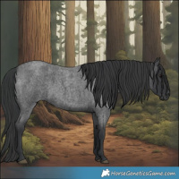 Horse Color:Blue Roan 