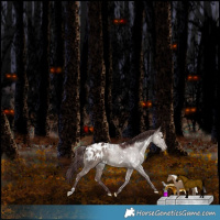 Horse Color:Platinum White Spotted Chocolate Grullo Mushroom Blanket Rabicano 