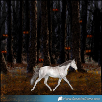 Horse Color:Platinum White Spotted Chocolate Bay Pearl Dun Mushroom Tobiano Rabicano 