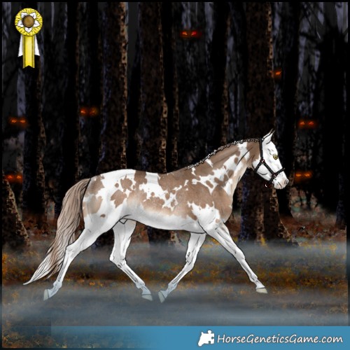 Horse Color:White Spotted Liver Red Dun Splash Rabicano