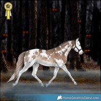 Horse Color:White Spotted Liver Red Dun Splash Rabicano 