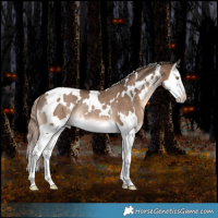 Horse Color:White Spotted Liver Red Dun Splash Rabicano 