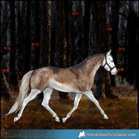Horse Color:Liver Red Dun Splash Brindle 