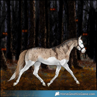 Horse Color:Liver Red Dun Splash Brindle 