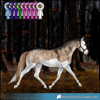 Horse Color:Liver Red Dun Splash Brindle 