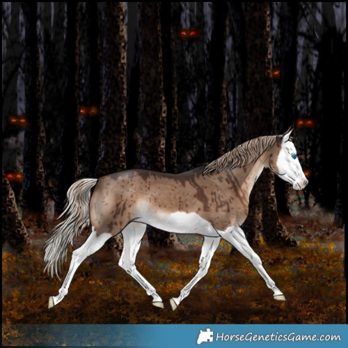 Horse Color:Liver Red Dun Splash Brindle 