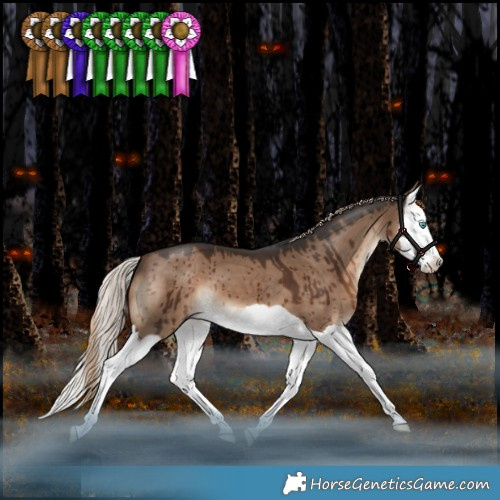 Horse Color:Liver Red Dun Splash Brindle 